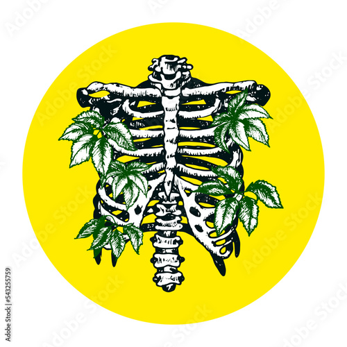Human ribcage with green vine leaves growing from the ribs. Vector illustration, tattoo