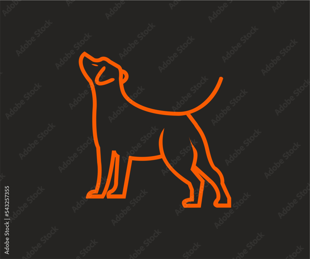 Fototapeta premium DOG