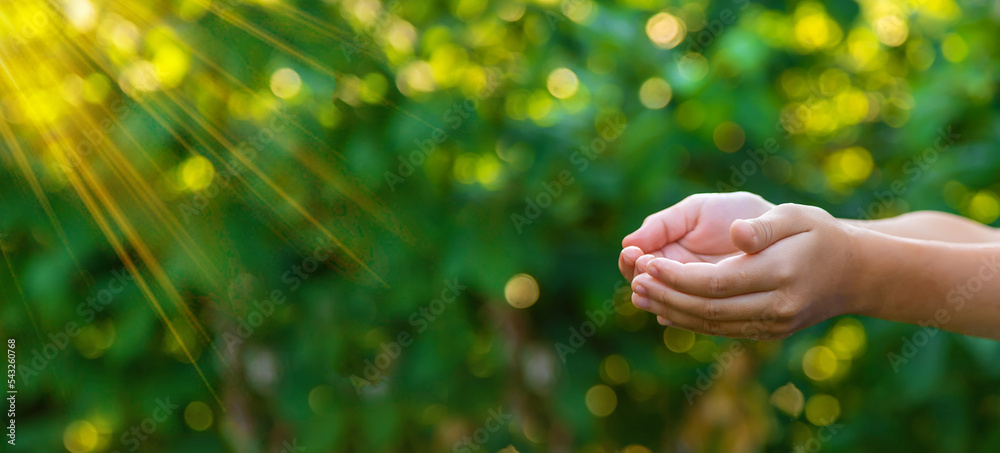 The child is holding hands asks. Selective focus.