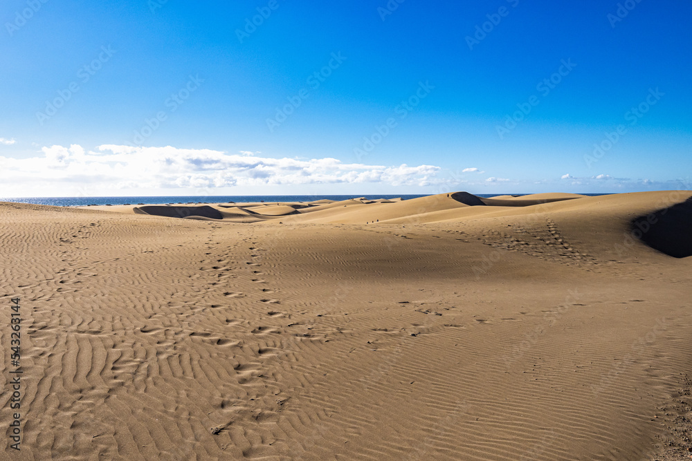 Maspalomas Sand Dunes on the south coast of the island of Gran Canaria, Canary Islands, Spain