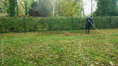 A woman is working in her autumn garden and quite using a rake to gather fallen leaves into a pile. she wears autumn clothes.