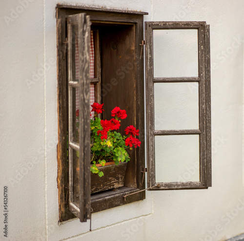 window with flowers  early autumn  peasant house  northern Croatia