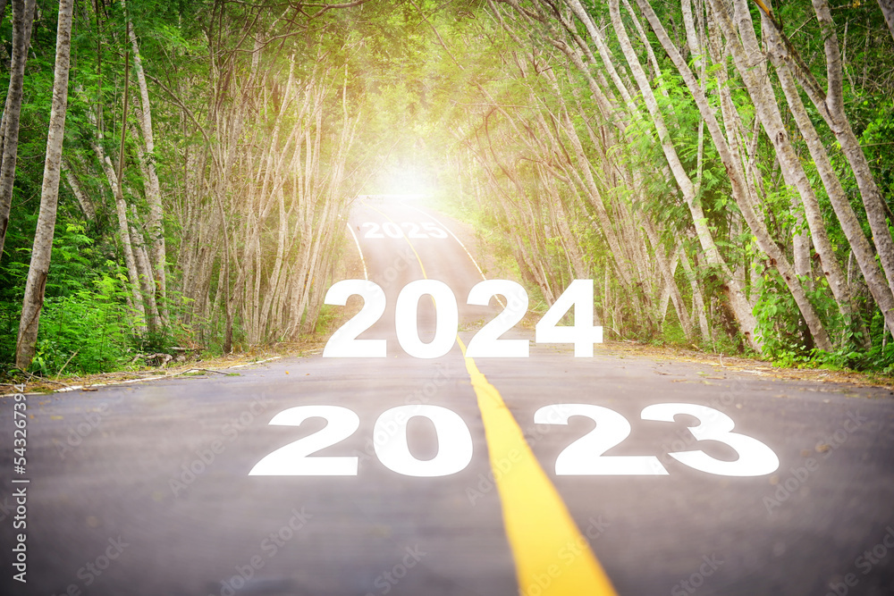 Goals start to planning 2023 2024 2025 with strategy road map. Business