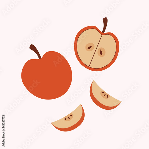 Different parts of apples vector set icon.Whole apple, slices and apple seeds design elements isolated on white background.