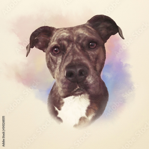 Realistic portrait of Staffordshire bull terrier dog on watercolor background. Head shot. Animal art collection: Dogs. Hand painted illustration of Pets. Good for print on banner, t-shirt, card