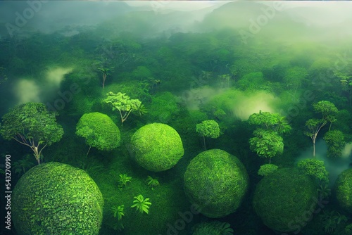 Panoramic view of the jungle. Aerial panorama of tropical forests in the morning mist. 3d artwork photo