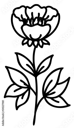 Line art flowers set. Collection of black and white thin linear flowers. Decorative illustrations  contour floral set. PNG with transparent background.