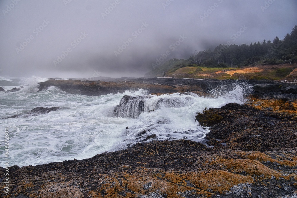 Cape Perpetua Crashing Waves and Tide Pools Oregon Coast fog views by Thor's Well and Spouting Horn on Captain Cook Trail. USA. Cape Perpetua Crashing Waves and Tide Pools Oregon Coast fog views by Thor's Well and Spouting Horn on Captain Cook Trail. USA.