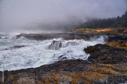 Cape Perpetua Crashing Waves and Tide Pools Oregon Coast fog views by Thor's Well and Spouting Horn on Captain Cook Trail. USA.