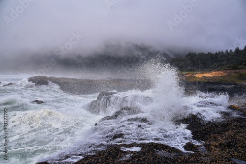 Cape Perpetua Crashing Waves and Tide Pools Oregon Coast fog views by Thor's Well and Spouting Horn on Captain Cook Trail. USA.