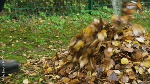 closeup of a pile of leaves in the foreground. in the background a gardener is raking more leaves onto the pile.