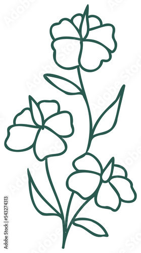 Floral line art linear botanical design element. Flower drawings with thin line. Collection of blooming hand drown flower, contour drawing. PNG with transparent background.