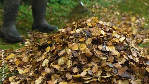 closeup of a pile of leaves in the foreground. in the background a gardener is raking more leaves onto the pile.