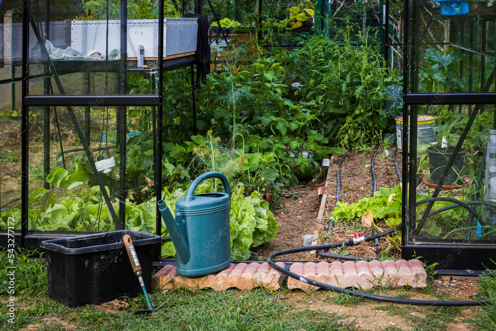 Arrosoir et outils devant la serre en verre dans le jardin Arrosoir et outils devant la serre en verre dans le jardin