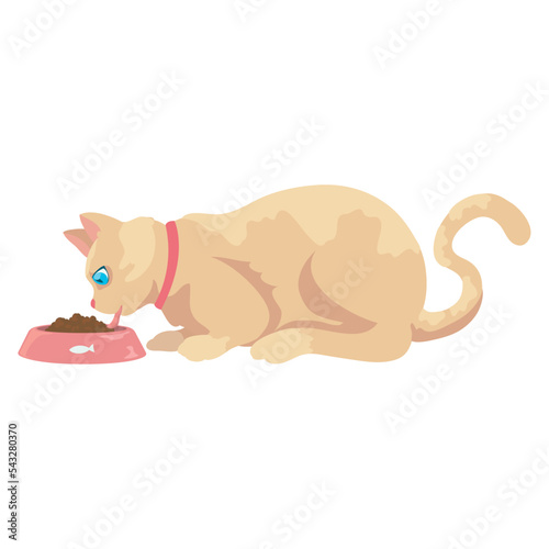 blond cat eating