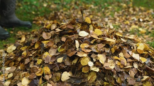 closeup of a pile of leaves in the foreground. in the background a gardener is raking more leaves onto the pile.