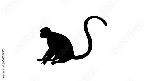 monkey silhouette