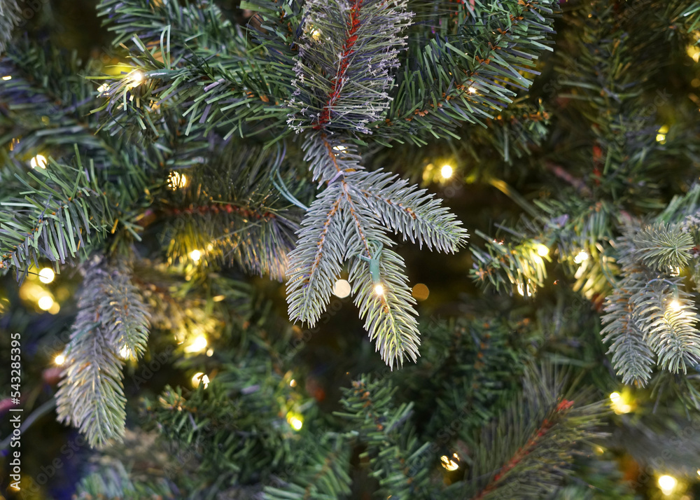 Close up on Christmas tree with light