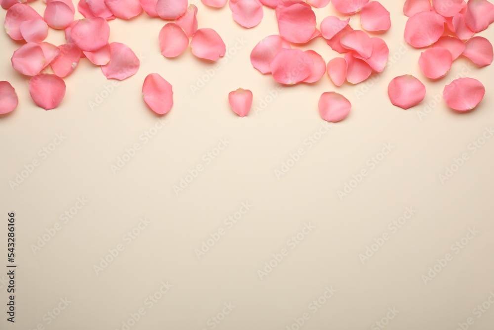 Beautiful pink rose flower petals on beige background, flat lay. Space for text