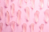 Beautiful feathers on light pink background, flat lay