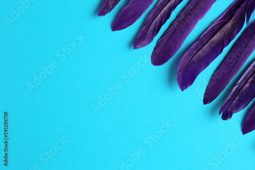 Purple feathers on light blue background, flat lay. Space for text
