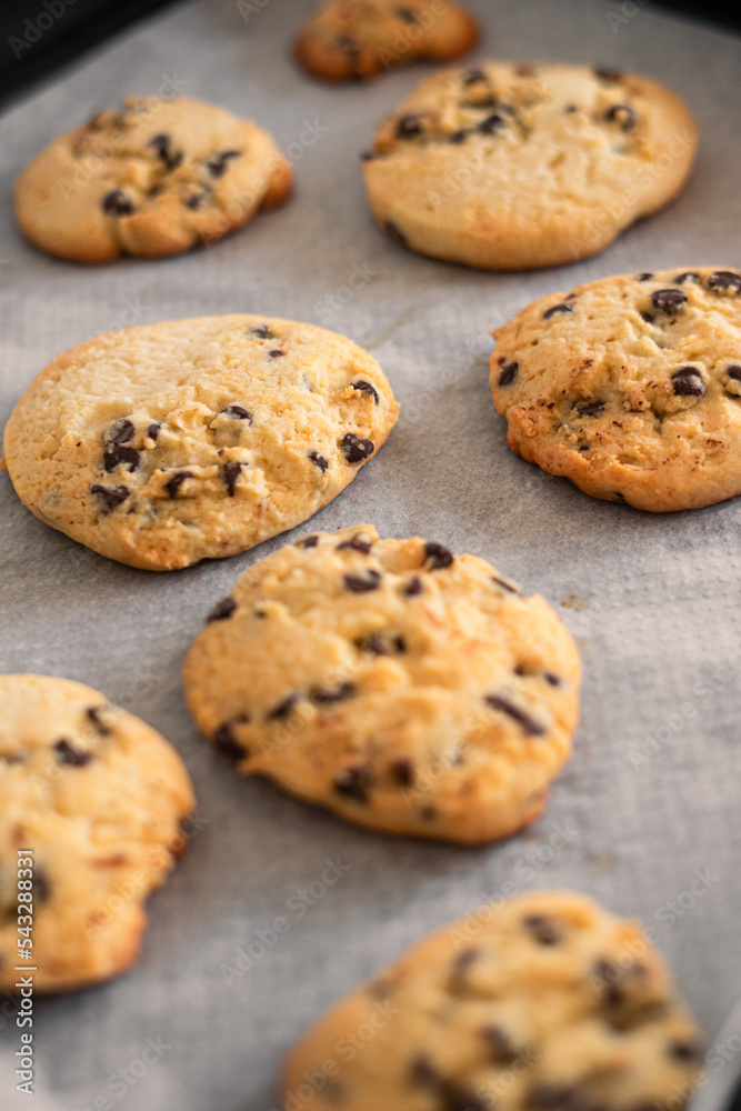 Homemade cookies on a baking tray