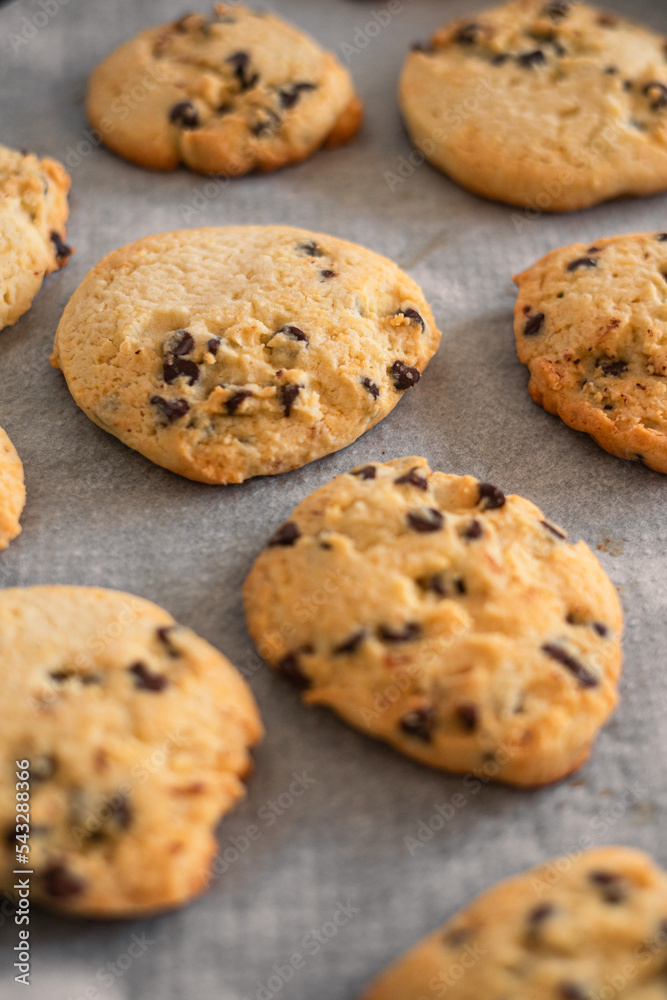 Homemade cookies on a baking tray Homemade cookies on a baking tray