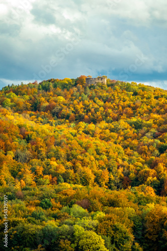 Fototapeta Naklejka Na Ścianę i Meble -  Kleiner Herbstspaziergang durch die schöne Parklandschaft bei Bad Liebenstein - Thüringen - Deutschland