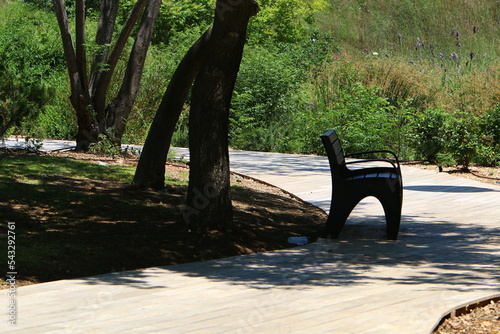 Pedestrian road in the city park on the seashore.