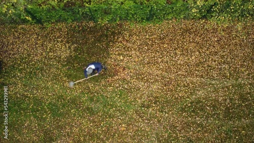Timelapse of a top shot of a woman in her garden raking leaves into a small pile