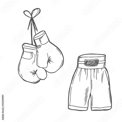 Doodle boxing gloves and shorts sketch. Black and white line illustration