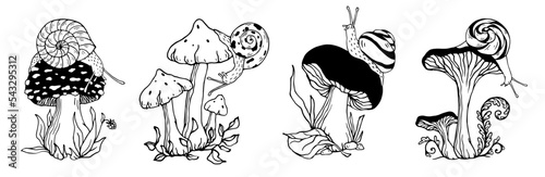 Linear sketch set of mushrooms with plants and creeping snail. Stylized vector graphics of forest flora and fauna.