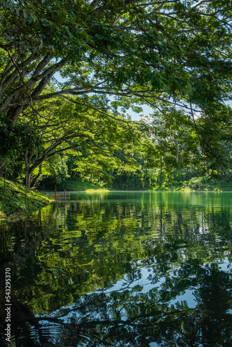hermoso paisaje de un lago con arboles grandes haciendo sombra en el agua