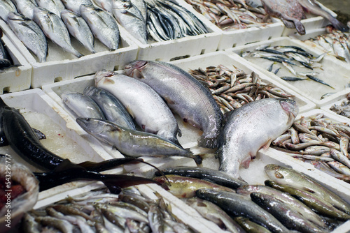 Fresh fish on the market stall photo