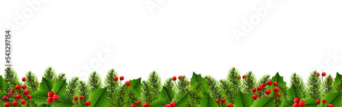 Fotografie, Obraz Christmas Border With Fir Tree And Holly Berry