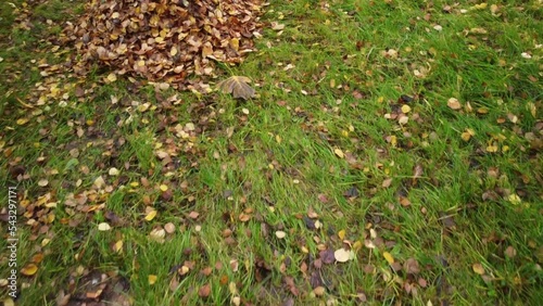 the camera flies over a meadow on which there are a lot of leaves and which have been heaped together.