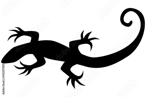 Black silhouette lizard tattoo vector illustration Fototapeta