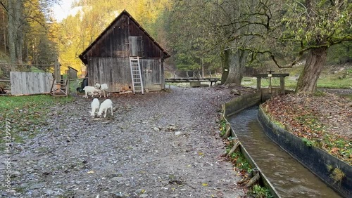 Historic water mill and farm in the Kvacianska dolina national park in Slovakia photo