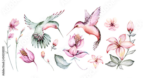 Canvas Print Tropical watercolor set birds hummingbird, monkey and jaguar, exotic jungle plan
