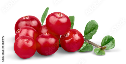 Cranberries