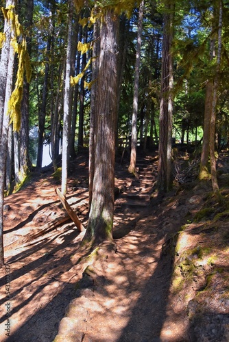 Sahalie Koosah Tamolitch falls hiking trail on McKenzie river, Williamette National Forest, Cascade Mountains, Oregon. photo