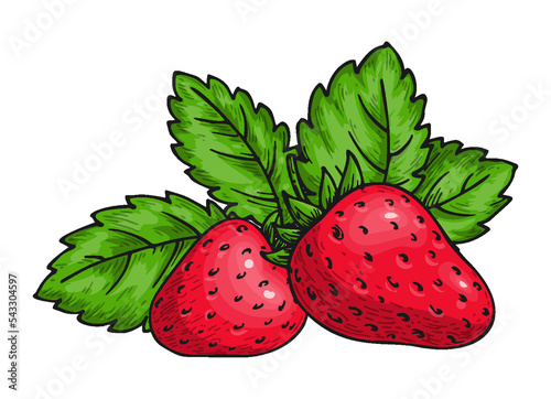 Strawberry bunch of sweet red berries. Whole ripe wild forest berry with leaves. Sweet fresh fruit. Juicy strawberries handdrawn sketch for sticker, juice adverticement poster print, flyers, emblems