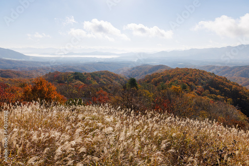 日本の鳥取県大山のとても美しい秋の風景