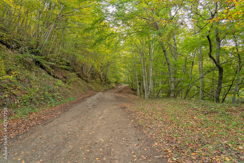 Pedestrian route from Soto de Sajambre to the Vegabano mountain refuge in Spain photo