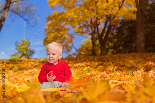 a little boy in a red sweater sits in the leaves and eats an apple against the background of yellow autumn trees