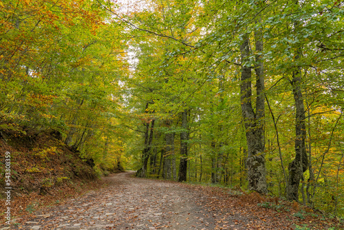 Pedestrian route from Soto de Sajambre to the Vegabano mountain refuge in the Picos de Europa National Park in Spain