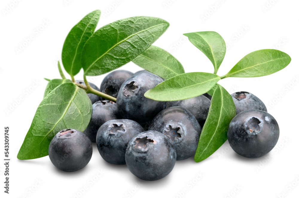 Fresh Ripe Blueberries on white background Fresh Ripe Blueberries on white background