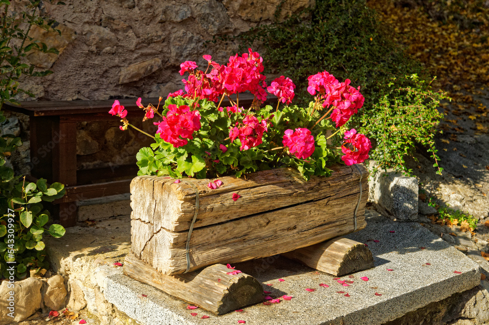 Wooden flower pot in Irone, medieval Alpine village in Trentino, Italy, a touristic destination seen on a sunny autumn day