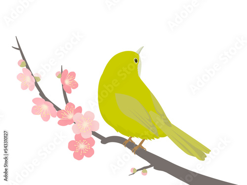 メジロと梅_ベクターイラスト