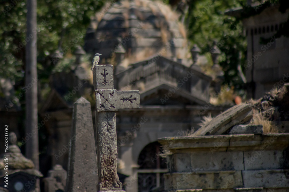 Tumbas del cementerio de Belén en dia de muertos en Guadalajara Jalisco México, panteón santa paula, concepto de Halloween
